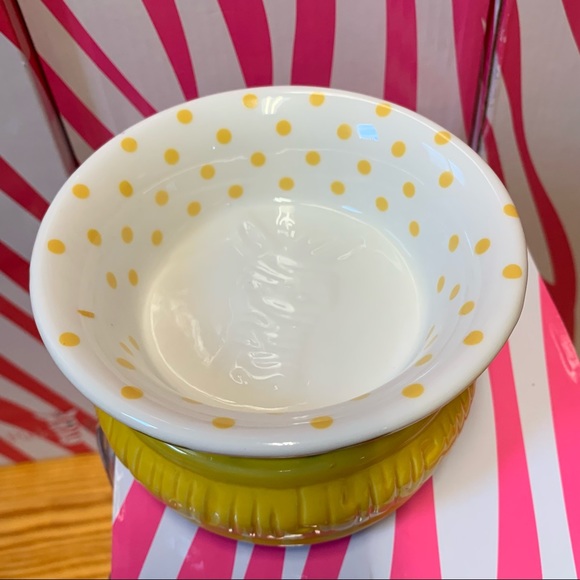 Pink Zebra Accents Pink Zebra Lemon Simmer Pot Poshmark